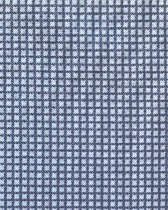 "The Rover" Blue Mini Windowpane