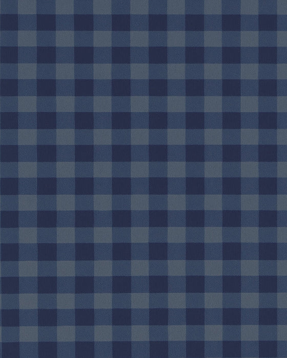 "The Petoskey" Navy & Blue Big Gingham