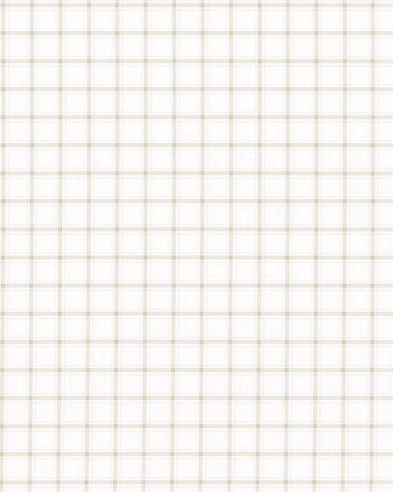 "The Shore" White with Tan Windowpane